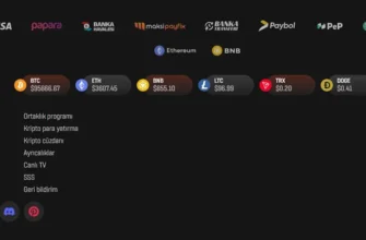 BaşarıBet Online Casino Para