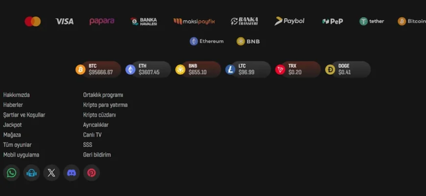 BaşarıBet Online Casino Para