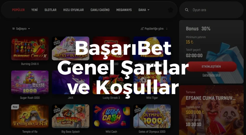 BaşarıBet Genel Şartlar ve Koşullar